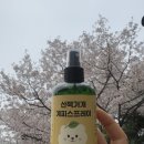 산책가개 이미지