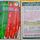 그린모종