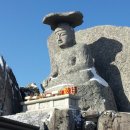 (주)신성티시디코리아 이미지