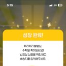 오디너리 가든 이미지