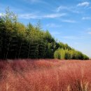 낙동강변25 이미지