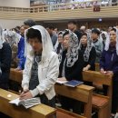 황금성당 이미지