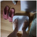 이경호행정사 이미지