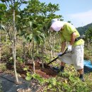 계심헌 공예 미술관 이미지