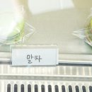 하대동366 | 진주 마카롱 하대동 행복한마카롱 맛있음