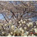 청려수련원 이미지