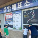 평창알펜시아 리조트 알파인 코스터 초등학생 후기 이용꿀팁