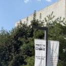 구락로141번길 | [부산 전시_F1963 석천홀] 책방지기의 미술관