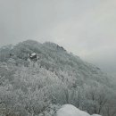 01월08일(화)전북 방장산 눈산행 이미지