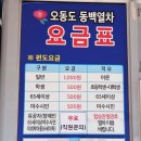 오동도 바람골 | 여수 오동도 주차, 동백열차 시간표, 아이와 코스 총정리