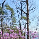 공주-07 Daum카페