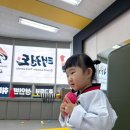 그렌드리더태권도장