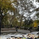 에일린에이 | 뉴욕 소호 구경 가볼만한곳 (맛집 에일린 치즈케이크), 브로드웨이 숙소 완전 추천 뢰머 헬스 키친