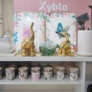 자연미인 에스테틱 이미지