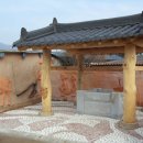 통샘 이미지