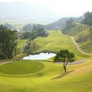 골프19클럽 이미지