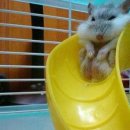 에코동물병원 이미지