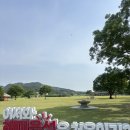 서울 근교, 서산 해미읍성 6월 장미 축제, 주차, 꽈배기 추천
