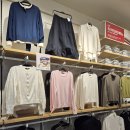 2901 | 탑텐세일 2026 봄 신상 구경하고 온 날, 가성비 봄옷 쇼핑후기