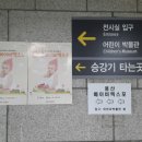 허니스트 코리아 | 용산 베이비엑스포 방문후기