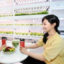 홈플러스 월드컵점 이미지