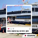 약국산책 | 대마도 자유여행 씨플라워 탑승후기 부산항 약국 멀미약 와이파이 면세 총정리