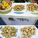 헵시바투어 | [2011 키즈푸드 페스티벌] #1 혜림이와 함께 양재 aT센터 키즈푸드 페스티벌 첫째 날 가서 하루종일...