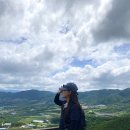 길 펀치볼 트레킹, 숲밥, 파로호, 한반도섬, 꽃섬, 박수근미술관 까지 테마캠프 버스투어 내돈내산 후기