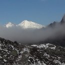 라 비 채 이미지