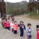 진도유치원 이미지