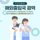 펫케어 동물병원 | 부산반려동물해외검역, 펫케어동물병원에서 안심 출국 준비!