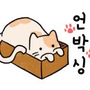 59년왕십리곱창 이미지