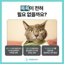 수성동물병원(일반동물병원) 이미지