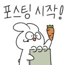 일박이일쓰리룸 이미지