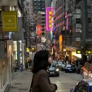 오마이멍멍 | 홍콩 2박3일 자유여행 일정 루트 경비 맛집 총정리