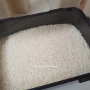 오케이라이스센터 이미지