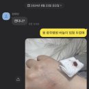 여름이 저물기 전에