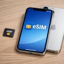 도깨비PC | [베이징] 중국 베이징 12월 여행 준비 (대한항공 항공권 예매, 모바일 체크인, 베이징 날씨, 중국 전자...