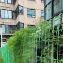 공주카센타 이미지