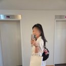 오드리하우스 | 마이리얼트립 내돈내산 후기 / 행잉트리, 툴록 방문 / 피터슨하우스 점심식사, 오드리윌킨슨 세미뇽 구매)