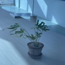 차량골농원 이미지