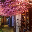 와라쿠동경술집 이미지