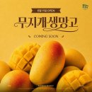 오거리분식 - 담양군 지침1길 19-5 | 가족 모임으로 제격! 건물 통째로 쓰는무한리필 뷔페 '샤브올데이 부평오거리점' (내돈내산 솔직 후기 🍲)