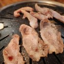갈비대학교