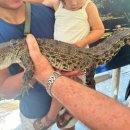 부촌농장 | 케언즈 4~5일차 - 렌트해서 포트 더 글라스,La cuvina bar, 하틀리 악어농장, 에스플러네이드, Dundee's