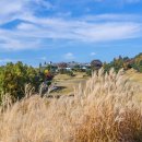 지산CC (대중제) 이미지