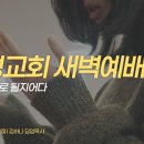 영성일기 2026.08.24.(월)새벽기도회(찬송)488장﻿(성경)마 8:5-13//[성경공부] 고린도전서(38) 화평의 하나님 이미지