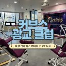 커브스광교클럽 | 광교 운동 커브스 광교클럽 광교 헬스장 추천