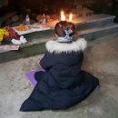 경기도 수원시 팔달구 세지로399번길 이미지