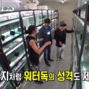 워터독 이미지
